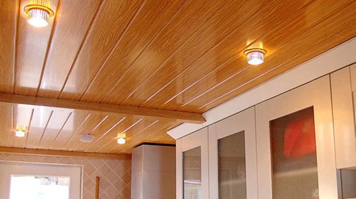 lambriu vagonca din plastic