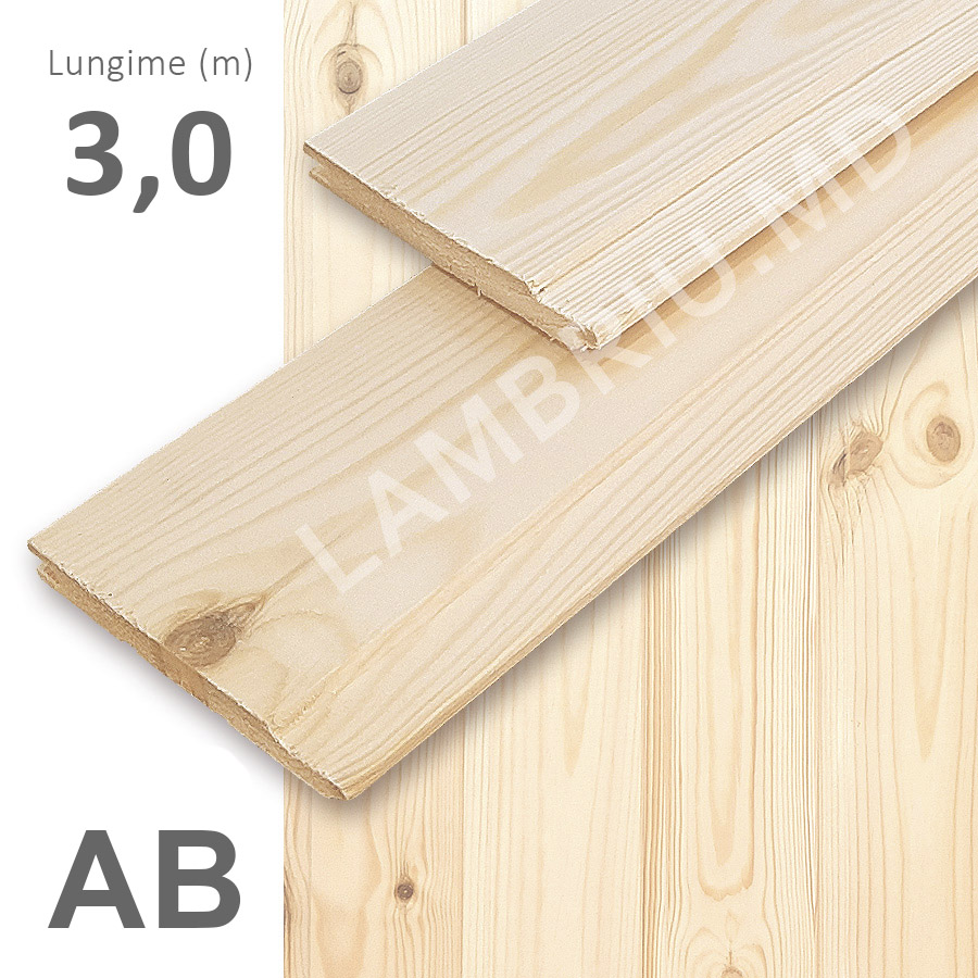 lambriu din lemn evrovagonca AB 3 m