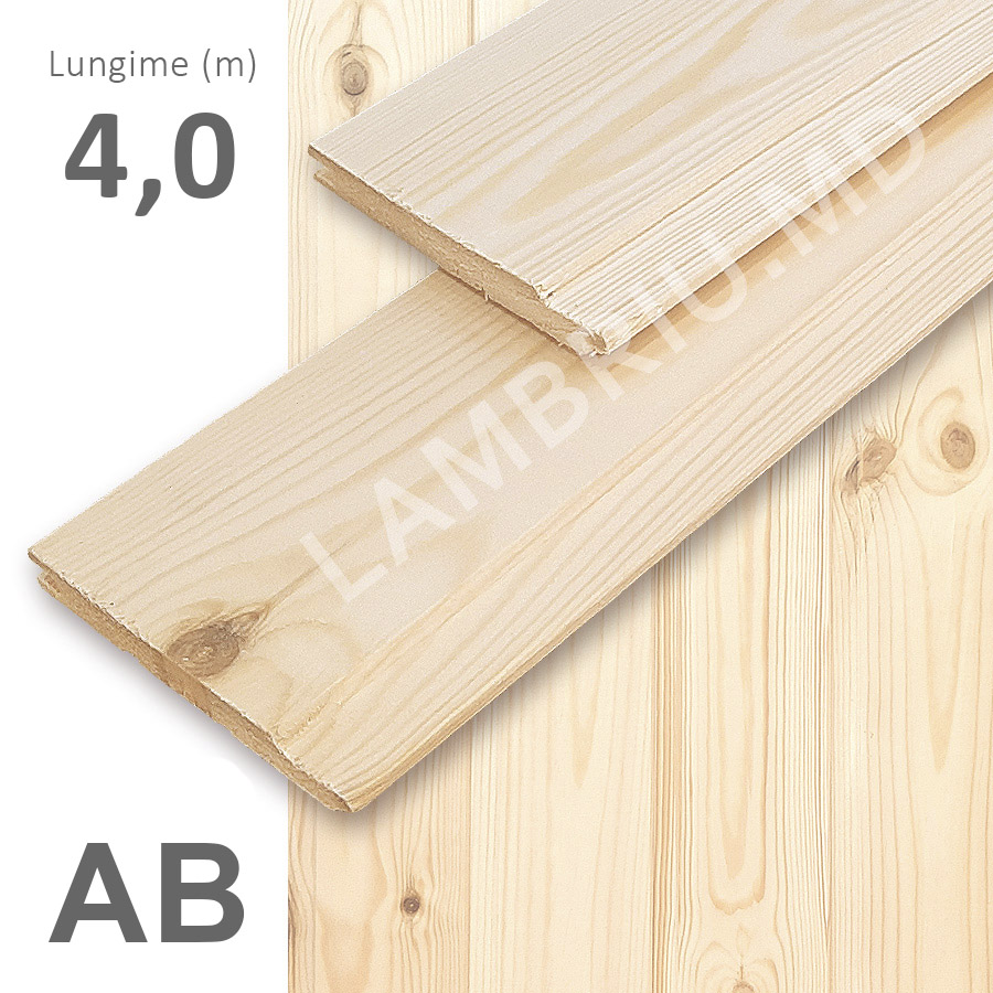 lambriu din lemn evrovagonca AB 4 m
